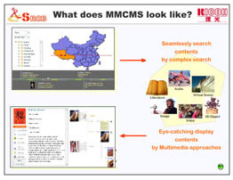 What does MMCMS look like?